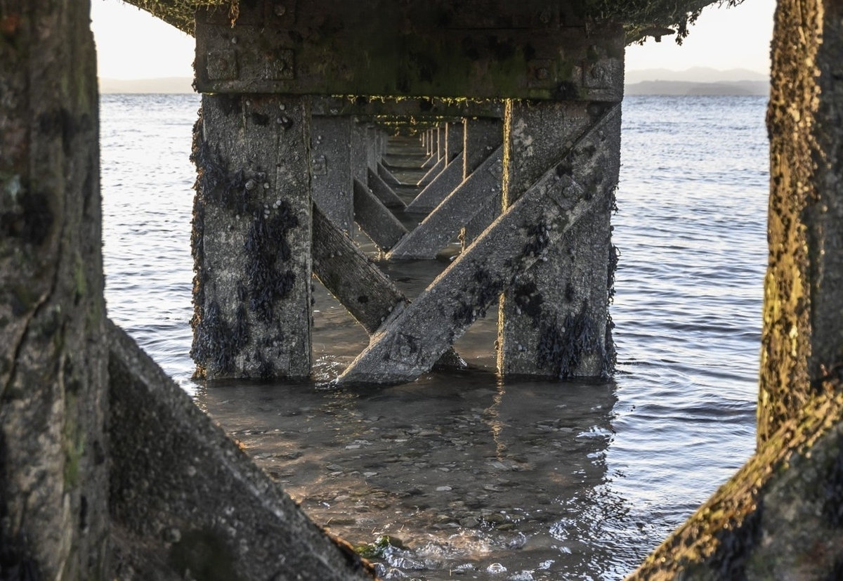Under the Boardwalk - Pat Hamer